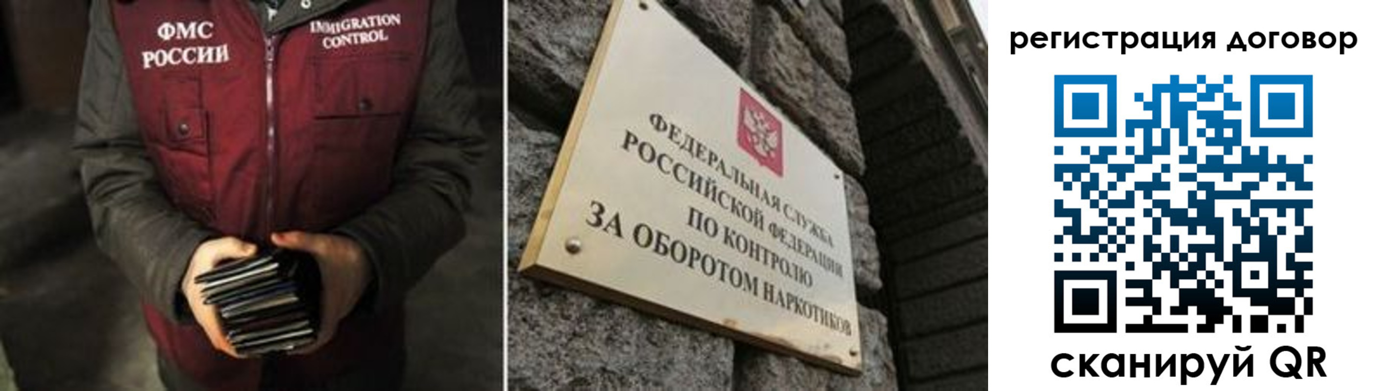 прописка гарантия в Ржеве